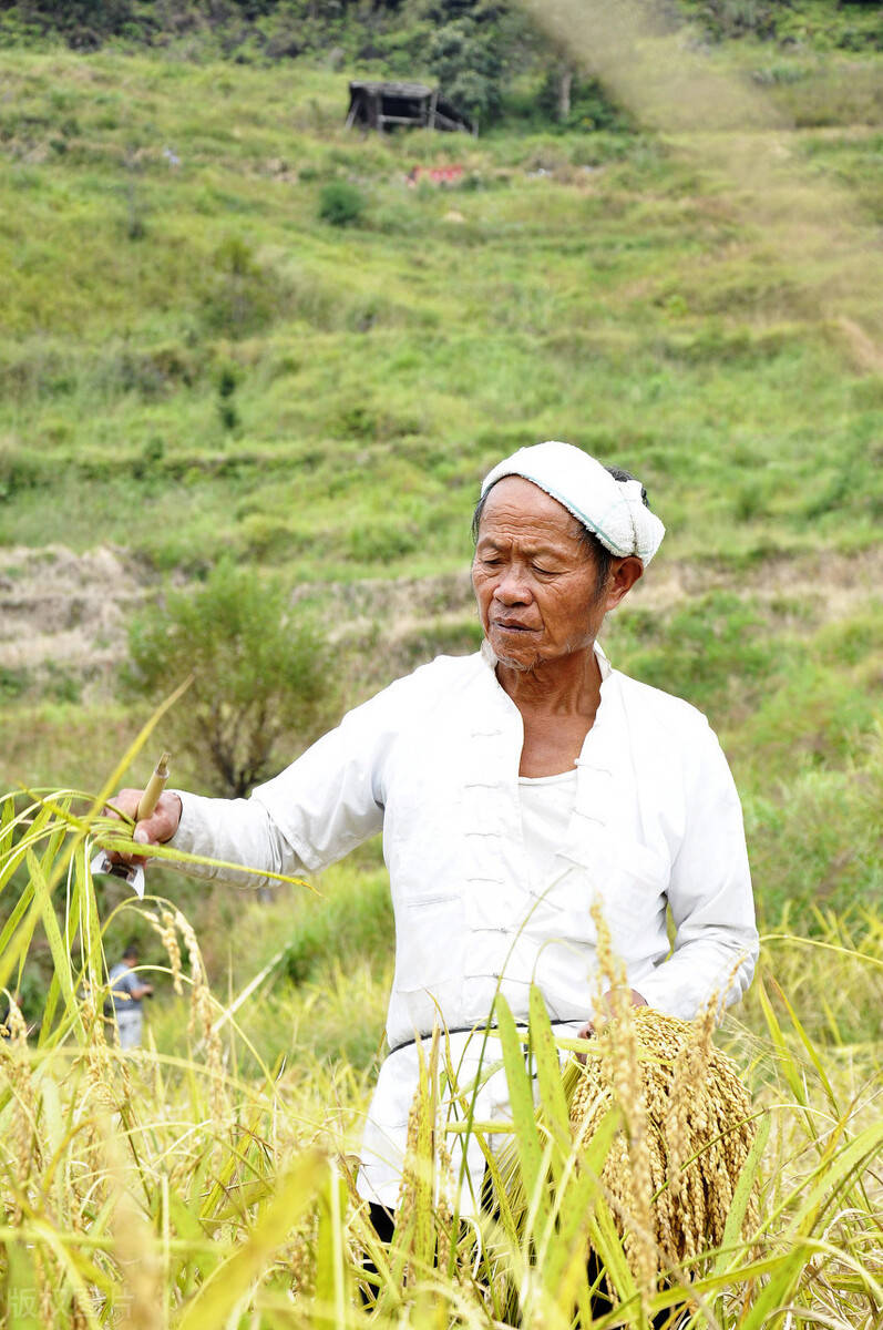 吃了咸菜滚豆腐皇帝老儿不及吾:大家想做撒娇尿床的宝贝,你呢?_农夫
