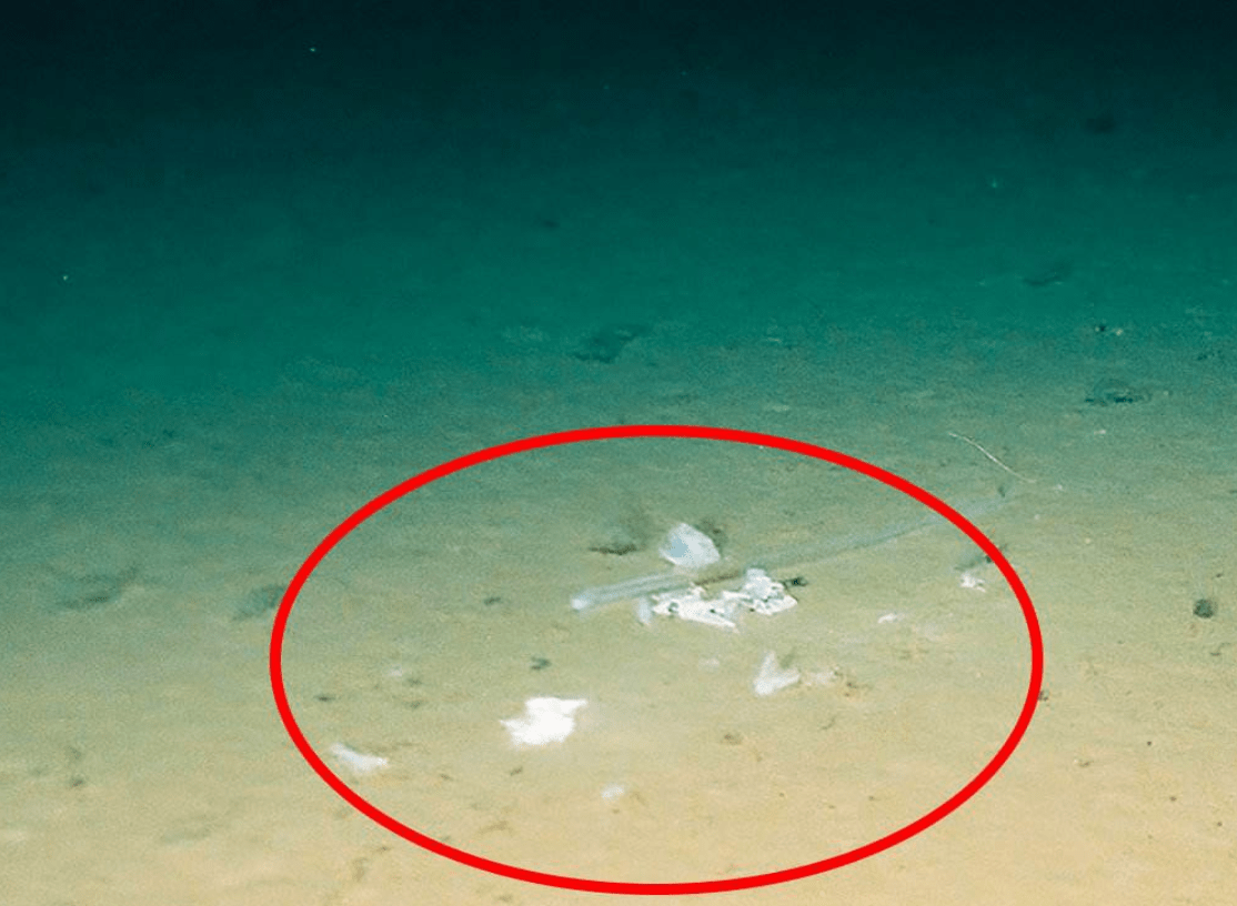 马里亚纳海沟的深度超过1万米是不是已经抵达了地心深处