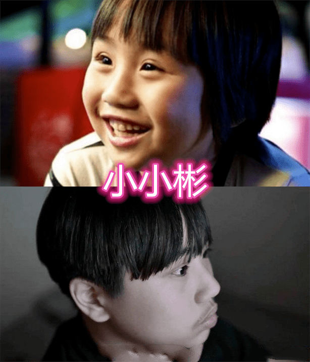 首先是小小彬,我相信很多人都认识他,在下一站幸福中他扮演了梁小乐的