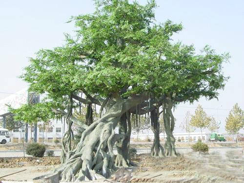 原创水泥仿真树在生活中的应用优势