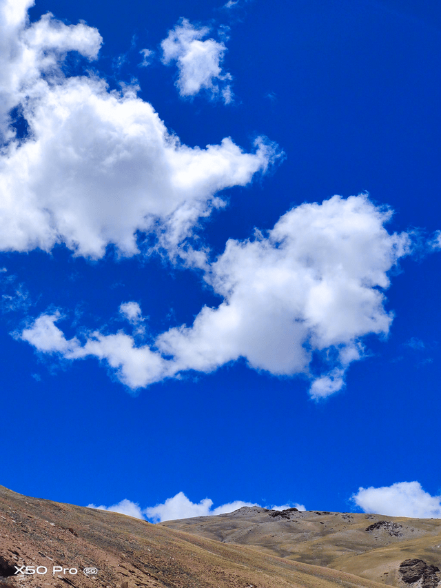 vivo x50 pro拍照体验:微云台之外这几点同样出彩