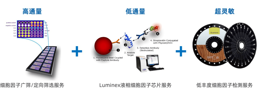 图8. 华盈生物细胞因子检测"一站式"服务平台