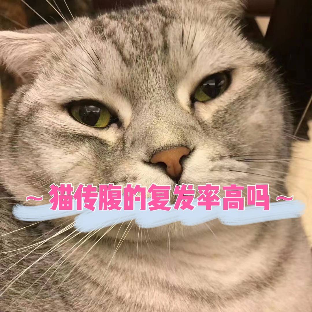 gs441有副作用吗?