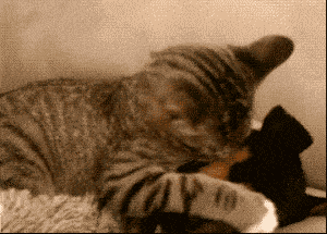 搞笑gif趣图:502胶水粘起来的汽车