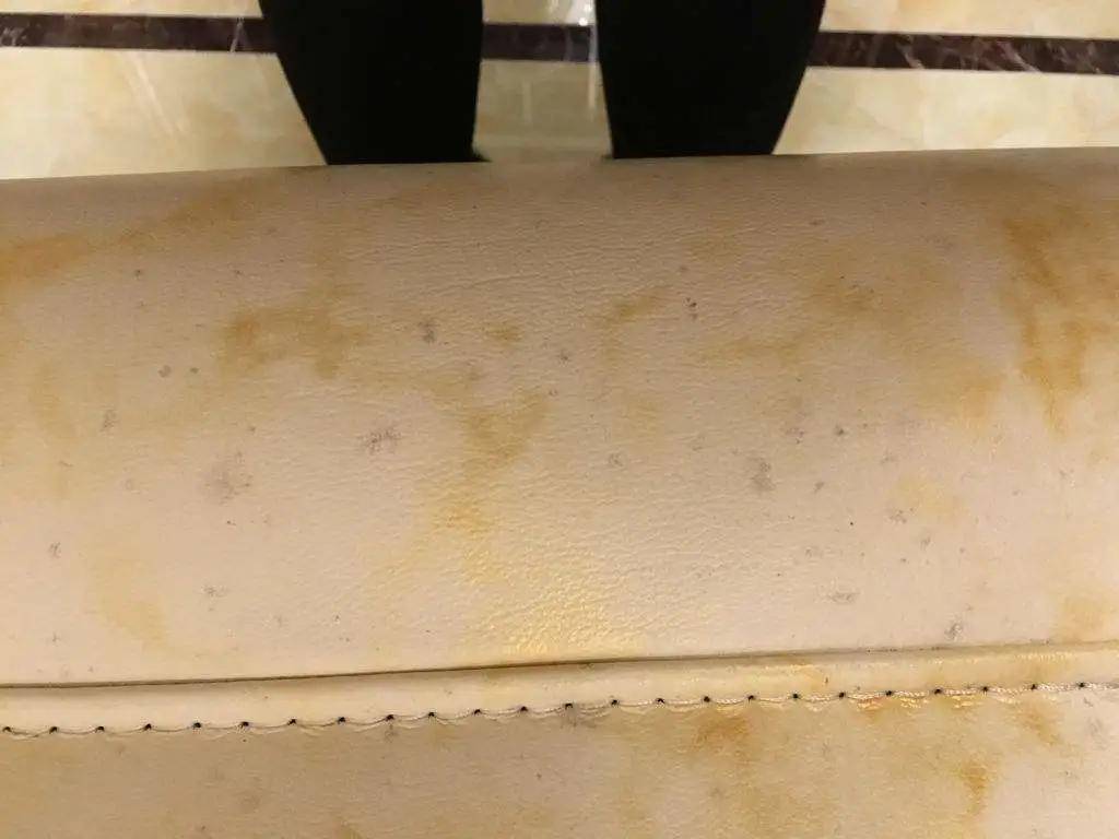 沙发太脏,怎么搞清洁?