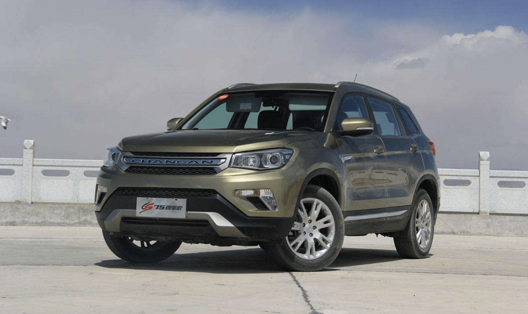 农村最常见的4款车,过年回家"看到腻",网友:全国都一个样_搜狐汽车