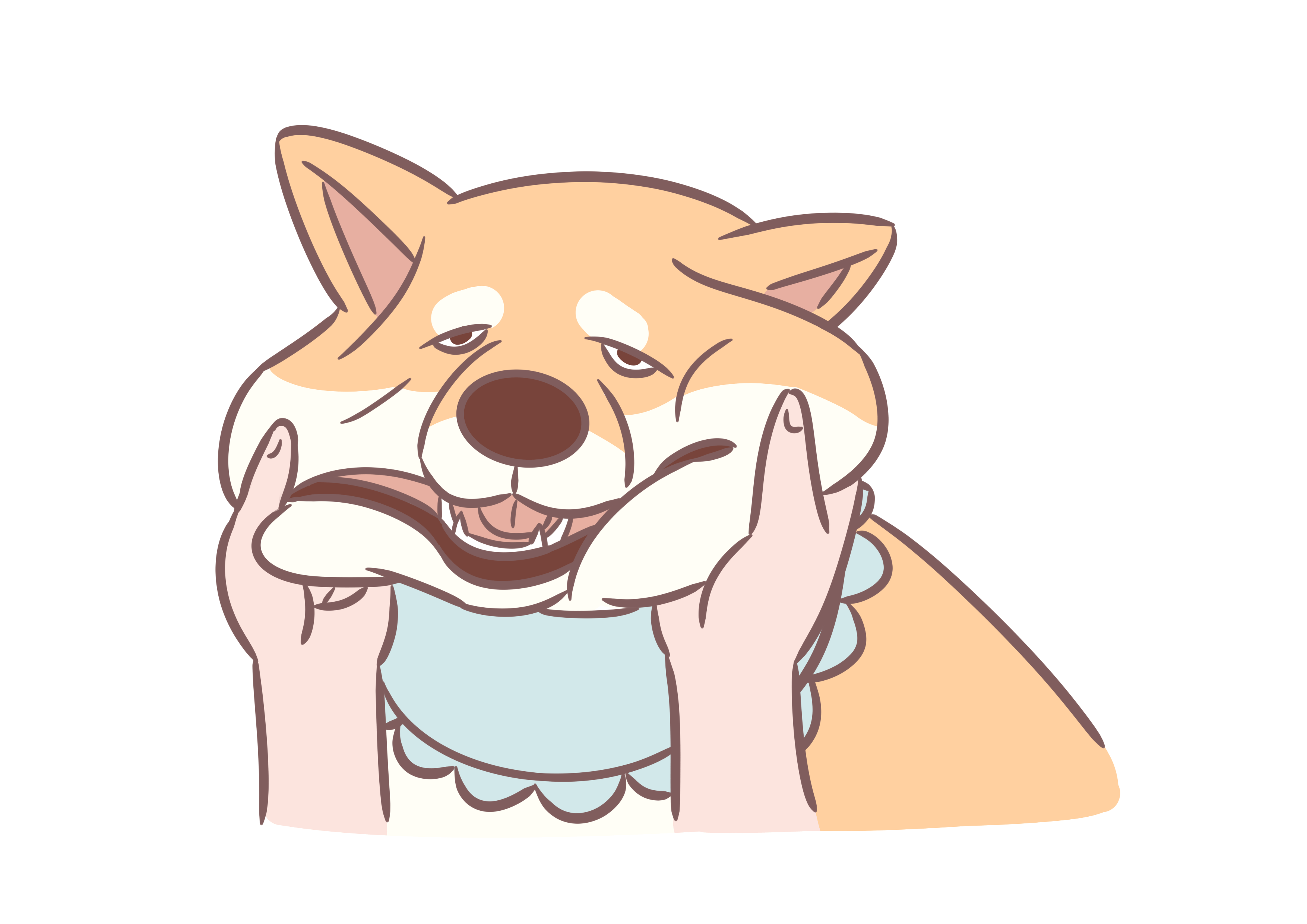 怎么用你的双手征服一只狗?摸这五个部位,让它爱你胜过爱他主人