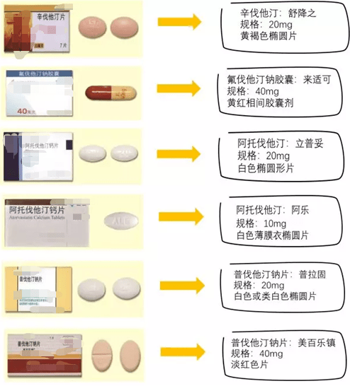 洛伐他汀和普伐他汀图片