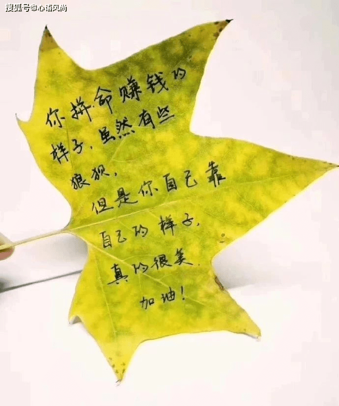 寫給自己一段霸氣的話!(漂亮)