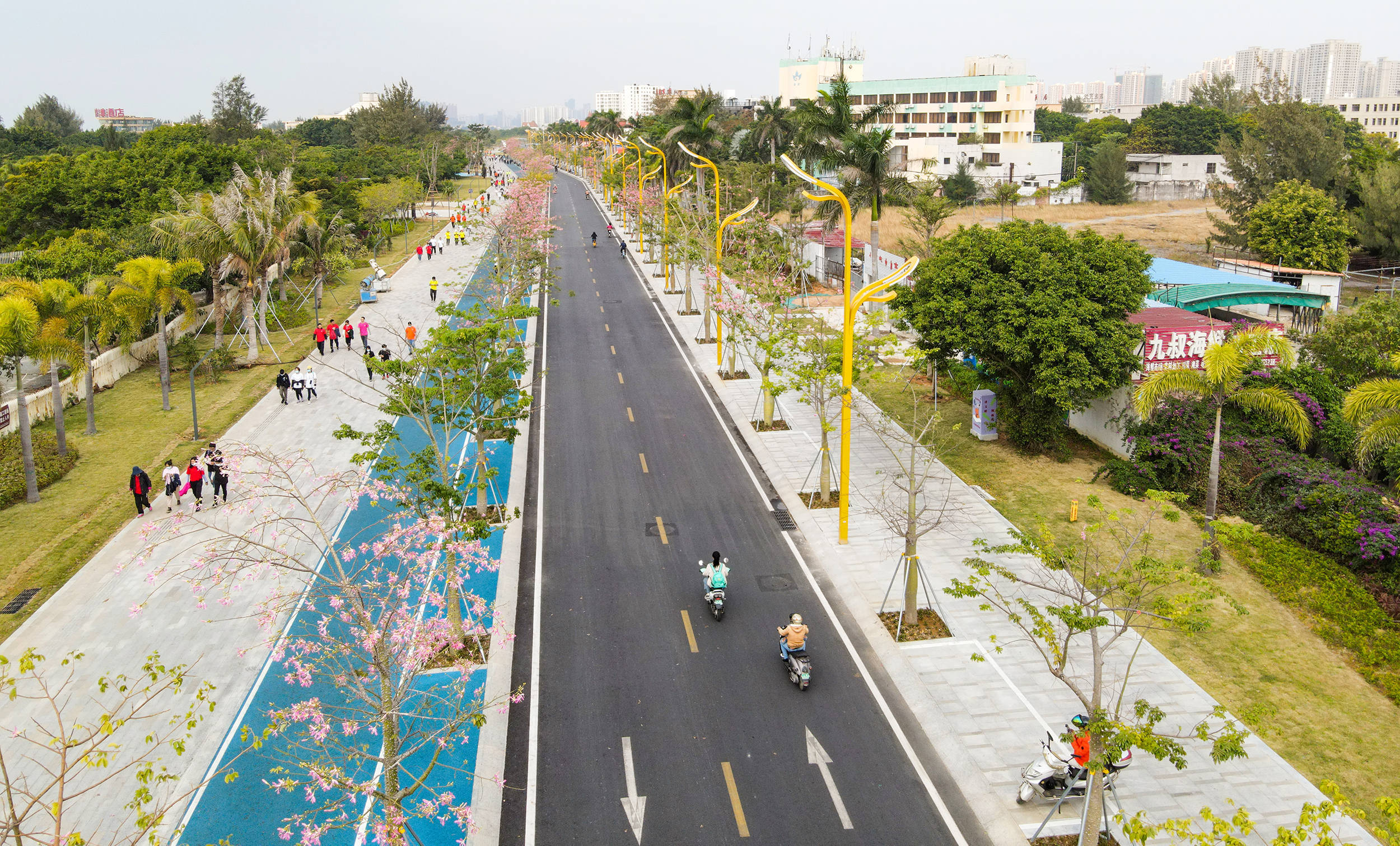 投资2亿多元北海市把这条路打造成了北海最美的城市之路