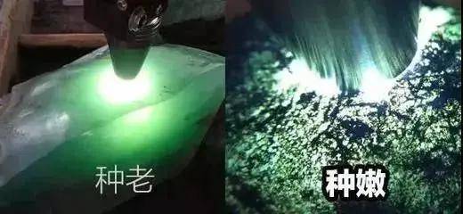 这3种翡翠，竟然越戴越丑？从60万到600块，原来都是因为...