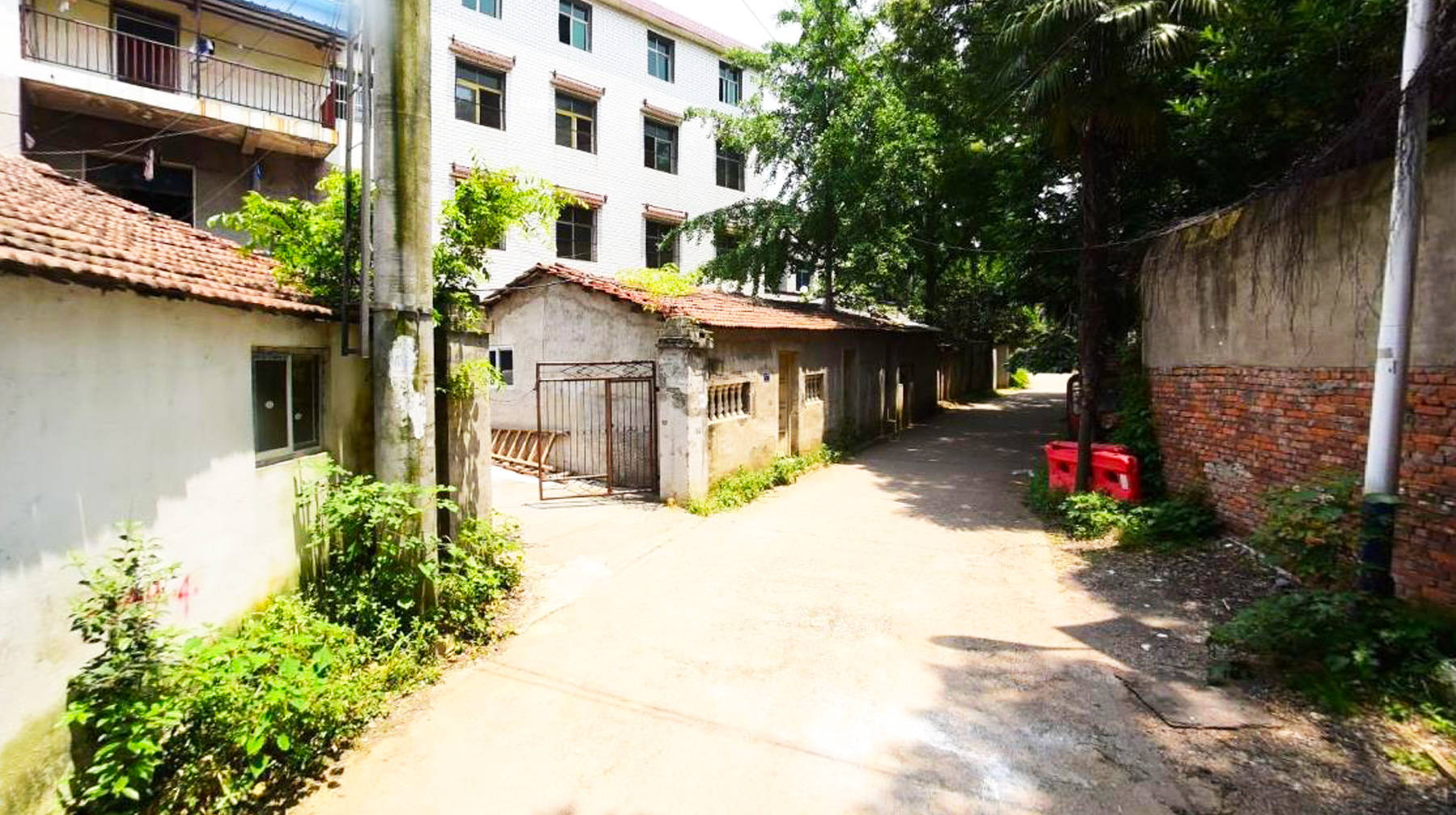 游览武汉城区原生态村庄:藏在植物园旁,森林茂盛宛若世外桃源