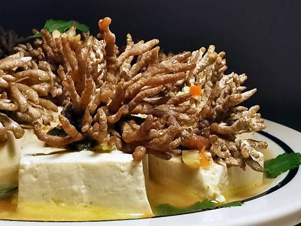 豆腐怎么长了犄角?揉揉眼睛看仔细,鸡爪菇你太调皮
