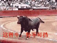 牛走路的动态图片图片