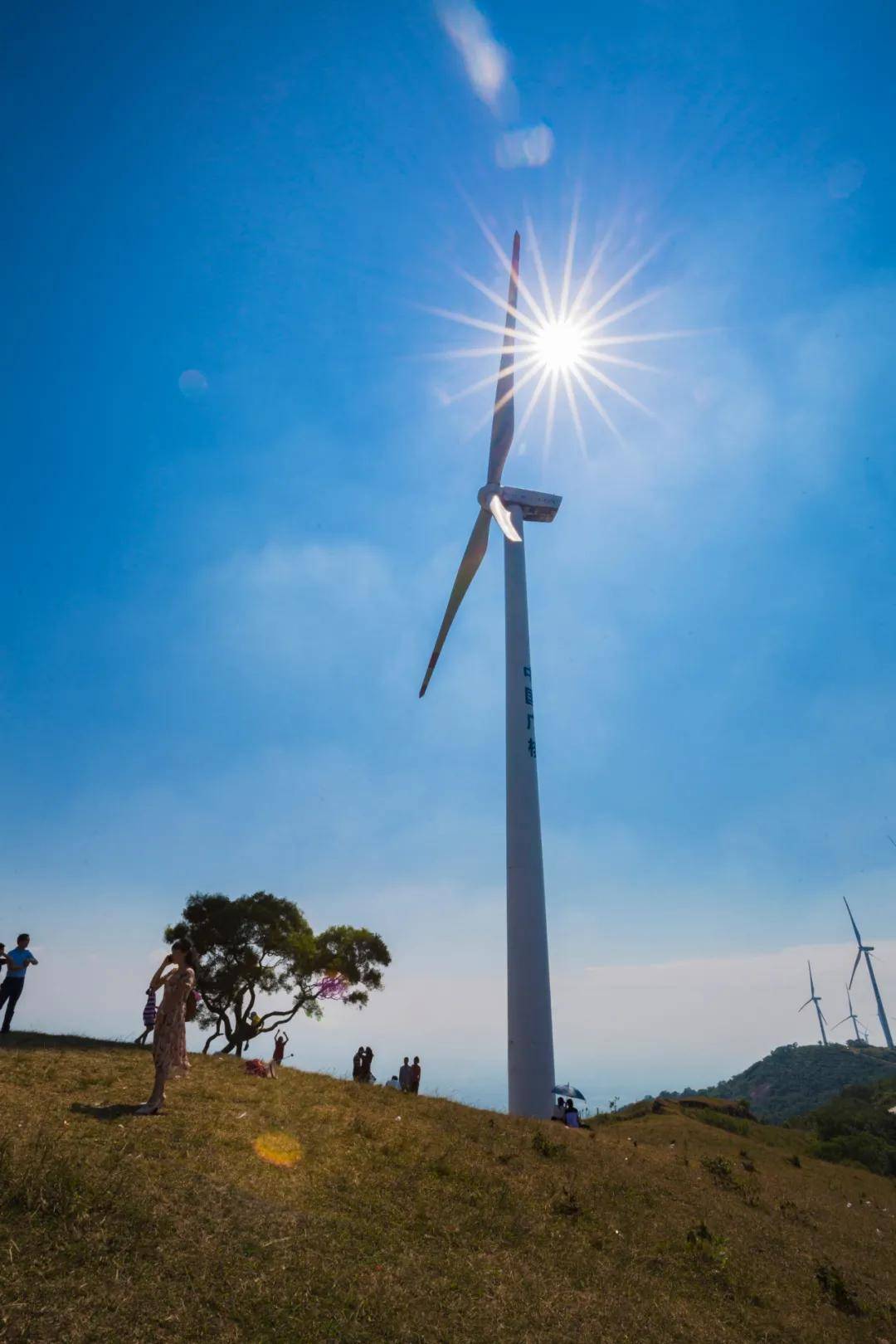 高州市浮山岭景区进行微改造!_手机搜狐网