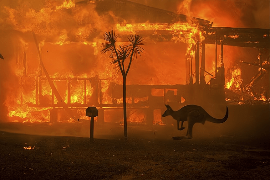 科学家警告11月的天气不同寻常澳大利亚丛林大火或会卷土重来