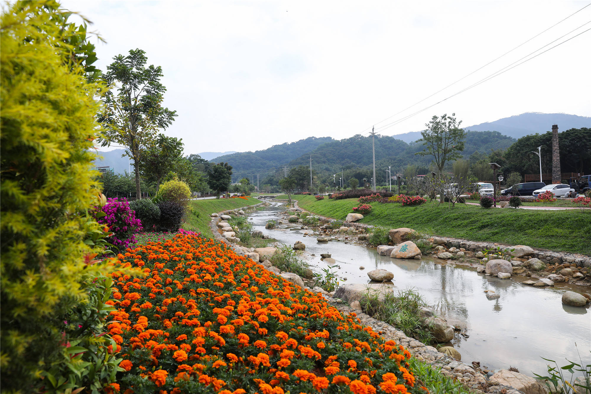 广州增城:遇见秀色邓山 留住美丽乡愁