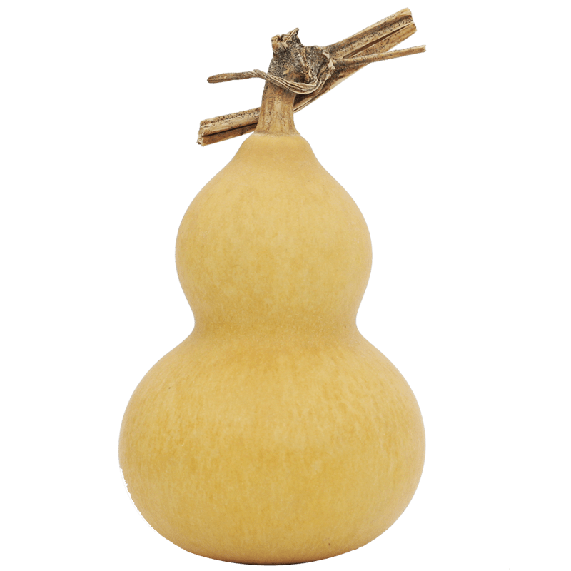 青春|散文 : 冬夜记