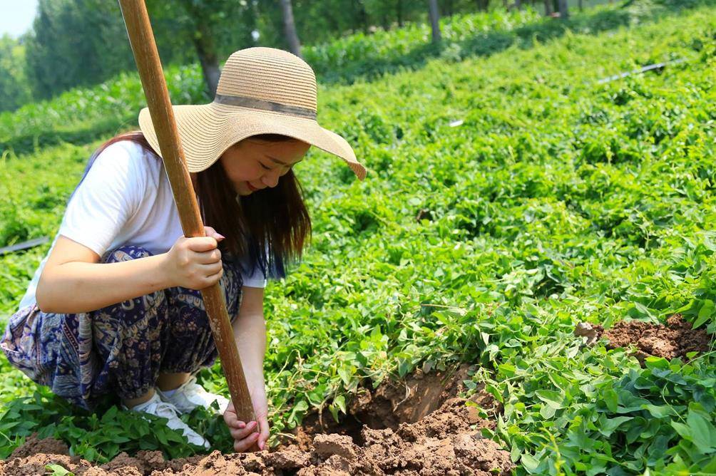 农村山区为什么农民疏于种地别谈情怀能发财谁还去打工