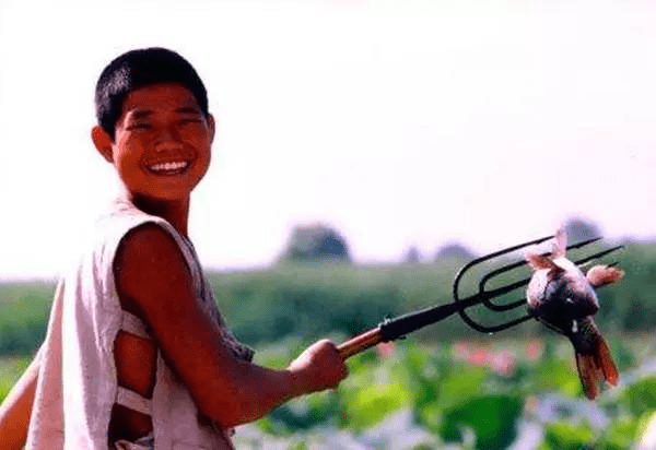 原创白洋淀打鬼子的小兵张嘎15岁火遍全国成了造假的三流网红