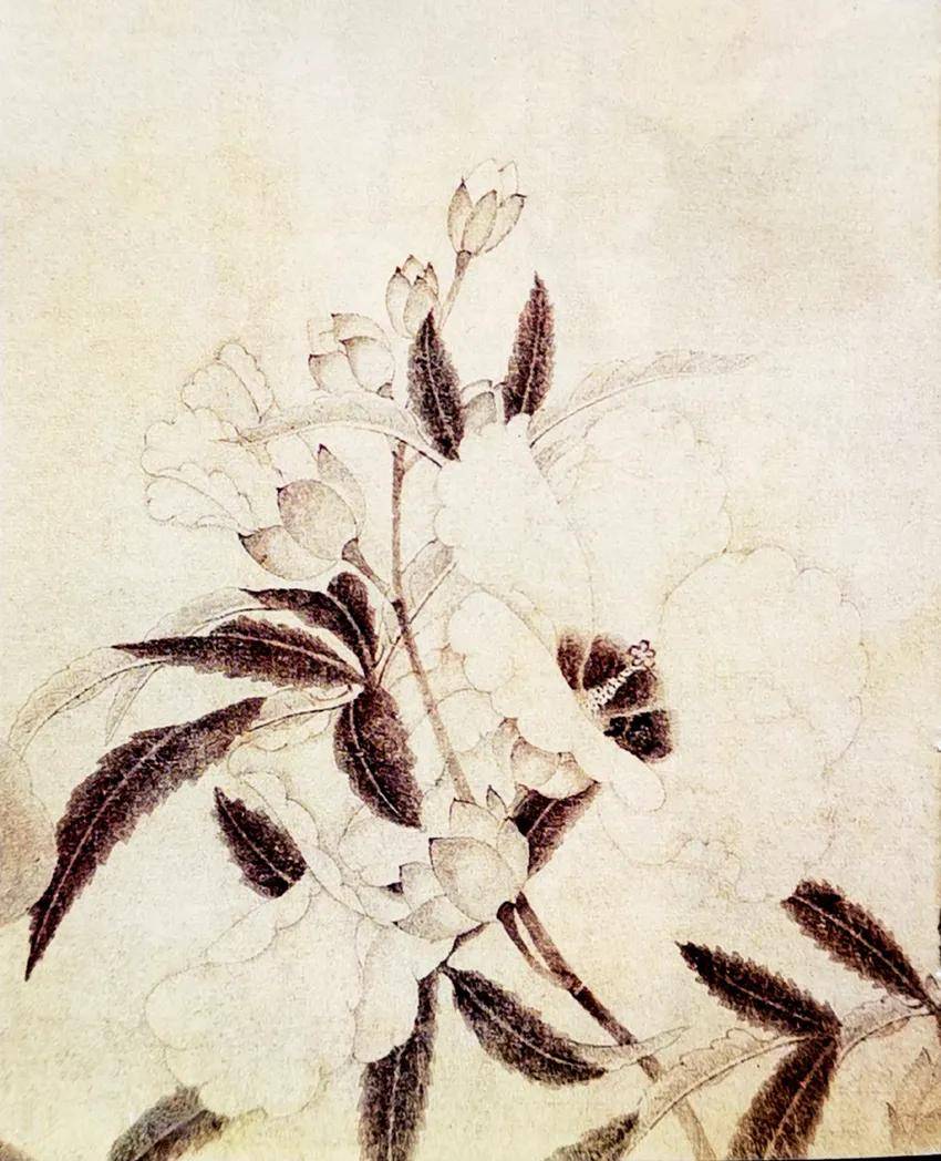 宋 佚名《秋葵图》纸本设色