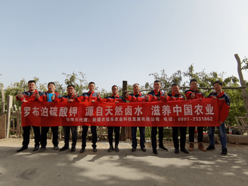 补"钾"补出"金疙瘩",携手国投迎丰收!