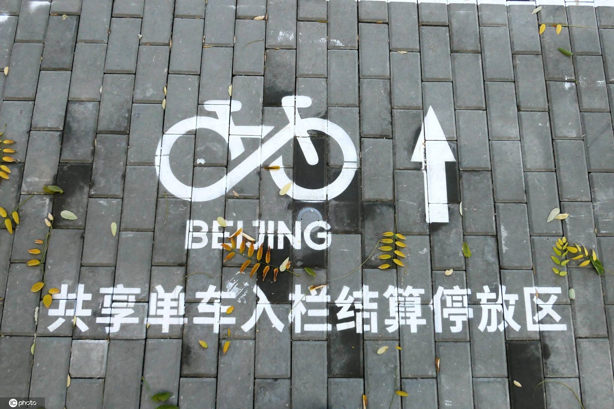 在共享单车停车位,上面既有自行车的标识,也有方向指示箭头,共享单车