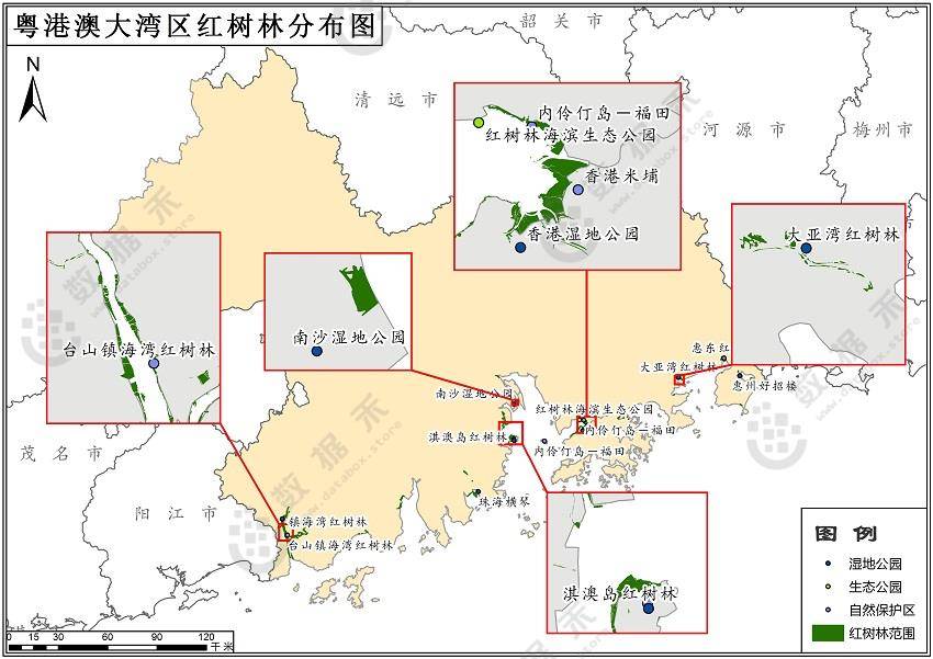 粤港澳大湾区红树林分布情况