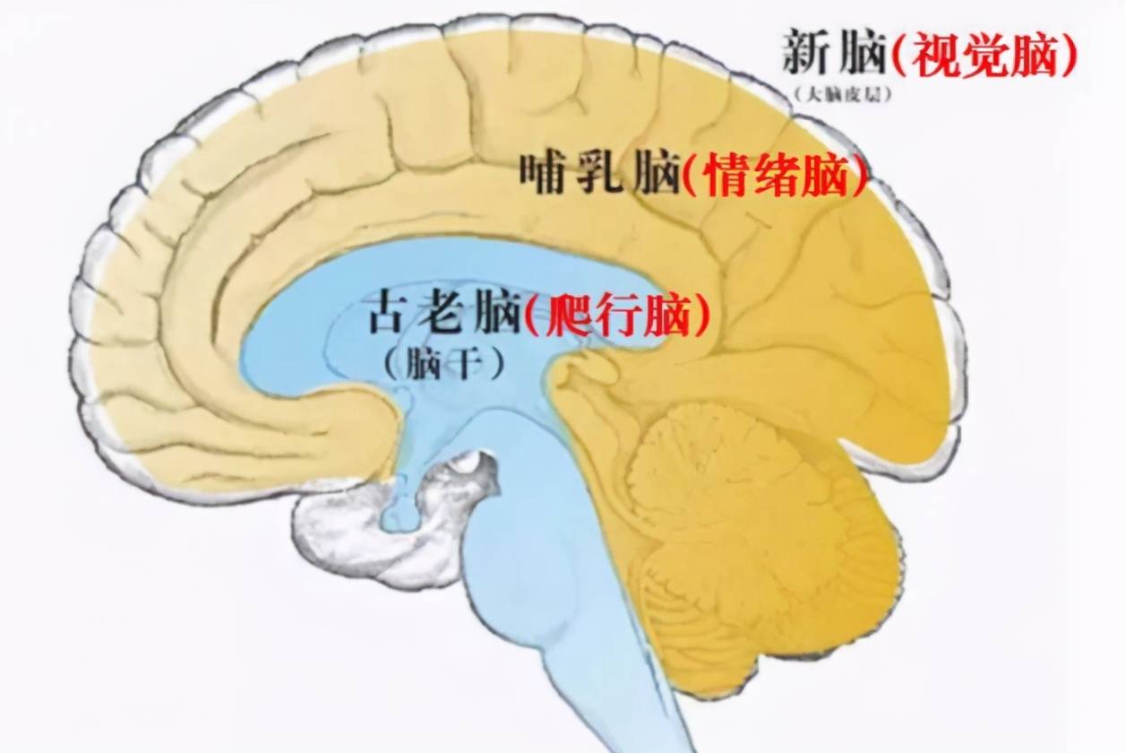 哲学思考逆熵存在度越高秩序运动越明显意识能力就越强