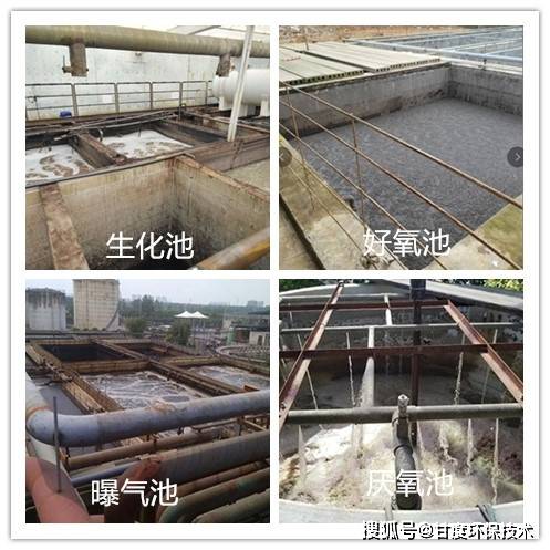 通过镜检丝状菌减少,少量肾形虫,污泥处于改善过程.