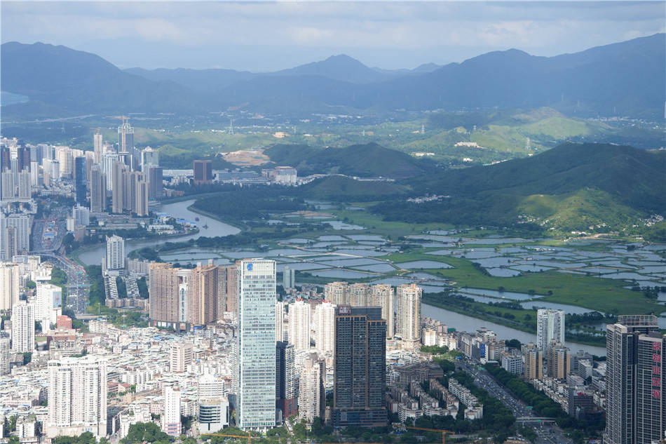 深圳:平安金融中心俯瞰,惊讶于深圳河两岸的反差_新界