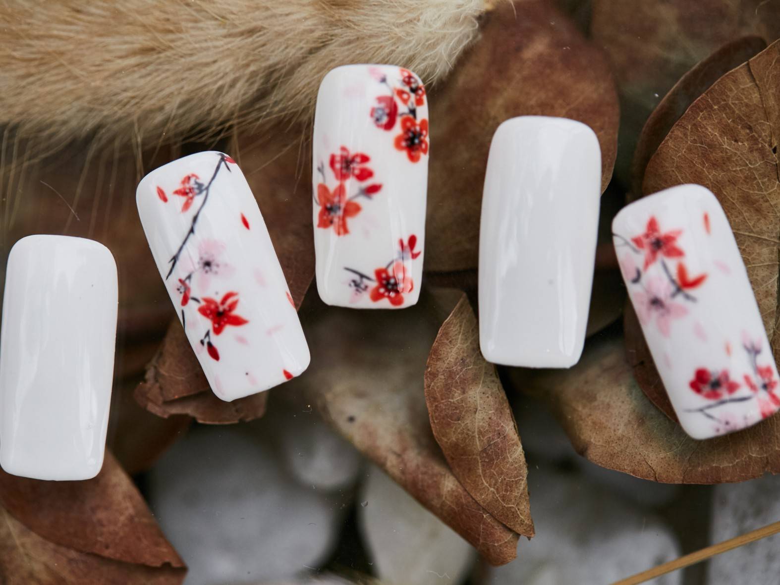 给指甲添点颜色2020要多姿多彩的收尾