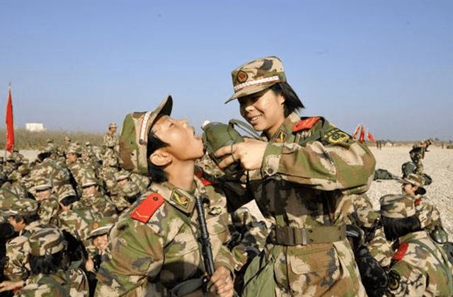 原创军用压缩饼干抗饿的秘密放开水里煮半小时就明白了