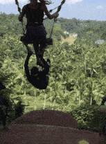 搞笑gif段子那只仓鼠你这是什么爱好难道不想活了吗