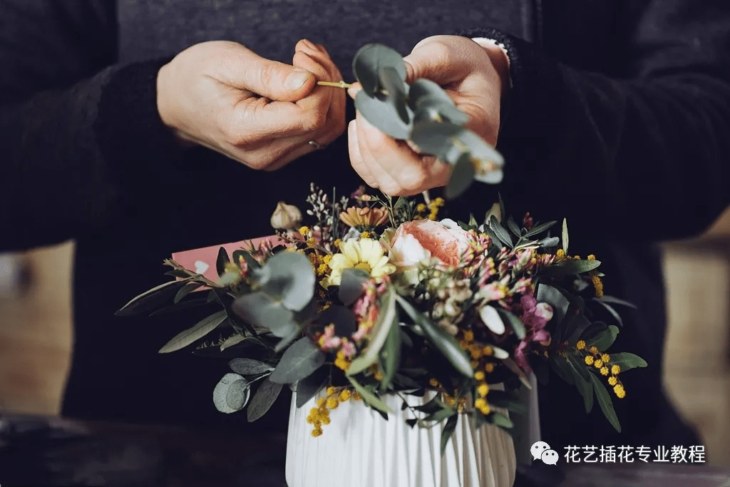 篮球插花技巧（篮球插花英文怎么说） 篮球插花本领
（篮球插花英文怎么说）《篮球插花的英文》 篮球资讯