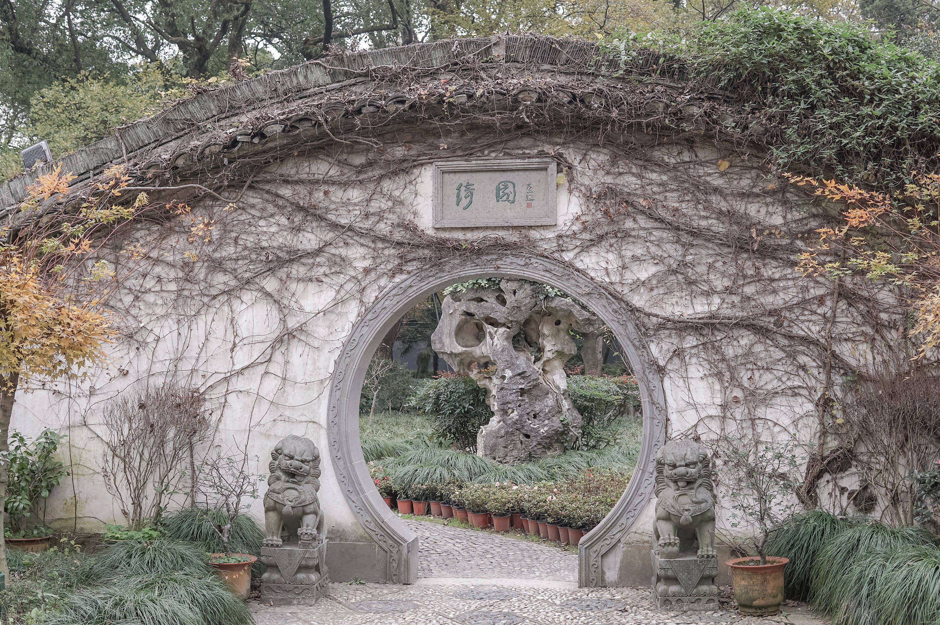 149年前的馮家不會想到,當年濃縮版的拙政園後來會改成動物園_樹木