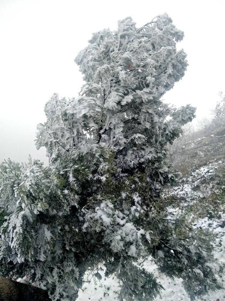 初雪后的方城县小顶山