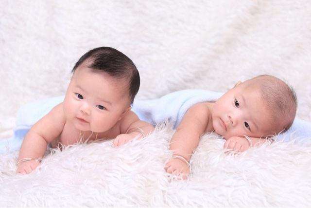 撒贝宁妻子李白生下一对双胞胎,一家四口其乐融融,孩子的样貌偏中还是