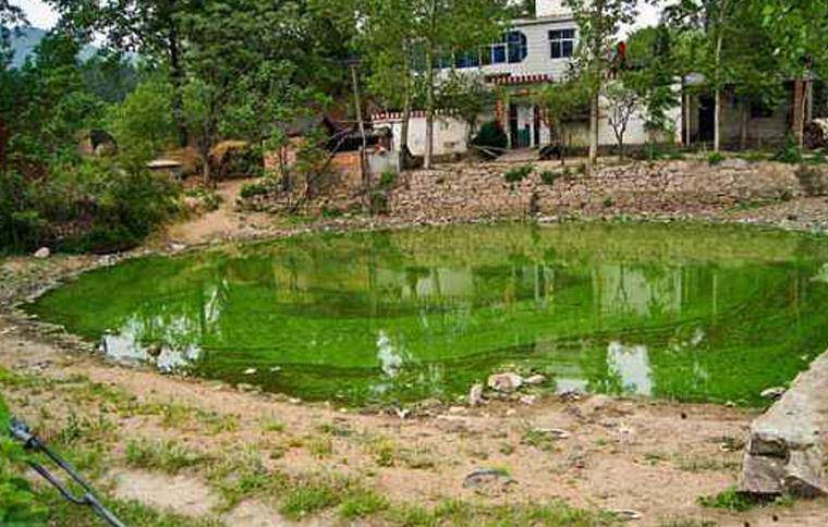 门前有水难道不好?_手机搜狐网