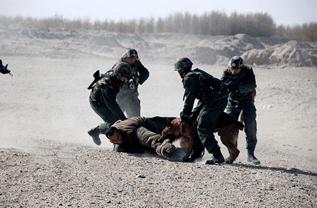 警察在追捕罪犯时,犯人逃到国界碑外,可开枪击毙吗?