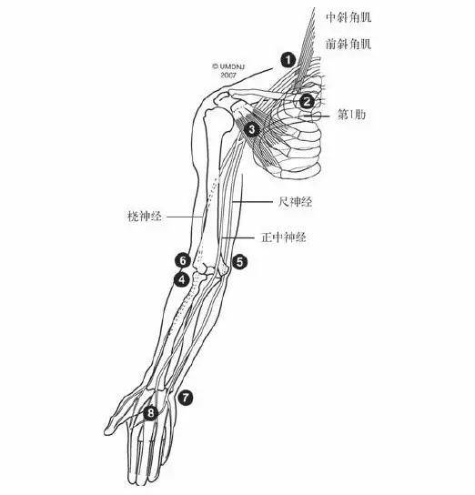 5分钟整骨手法:疾病,治疗,检查与图表,通俗易懂操作更简单!