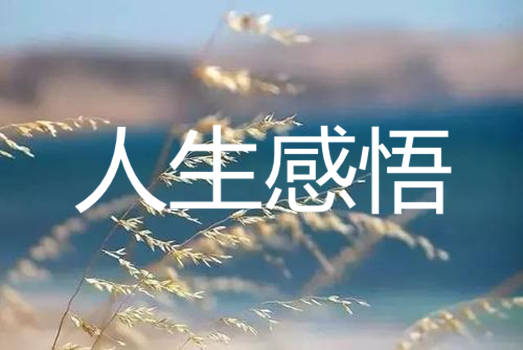 情感与文字：一道独特的风景线