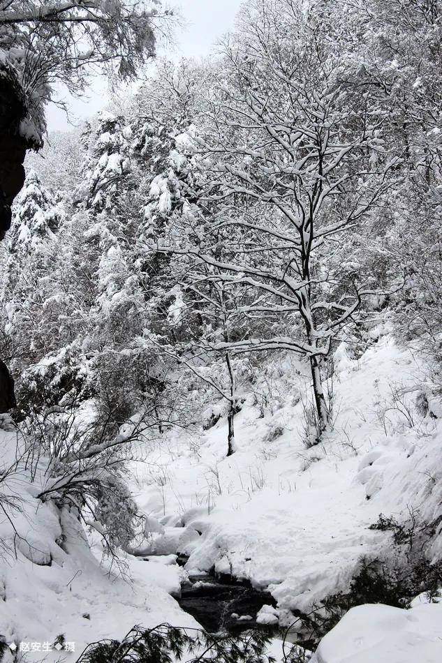 天水最美鄉村雪景圖你怎麼能錯過快一起來欣賞