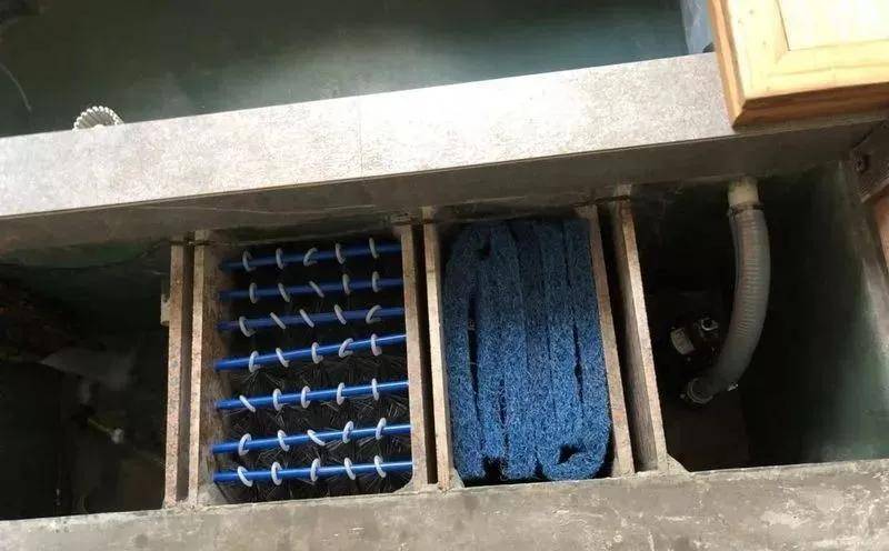 周末放毒:高层养鱼,掘地三尺._鱼池