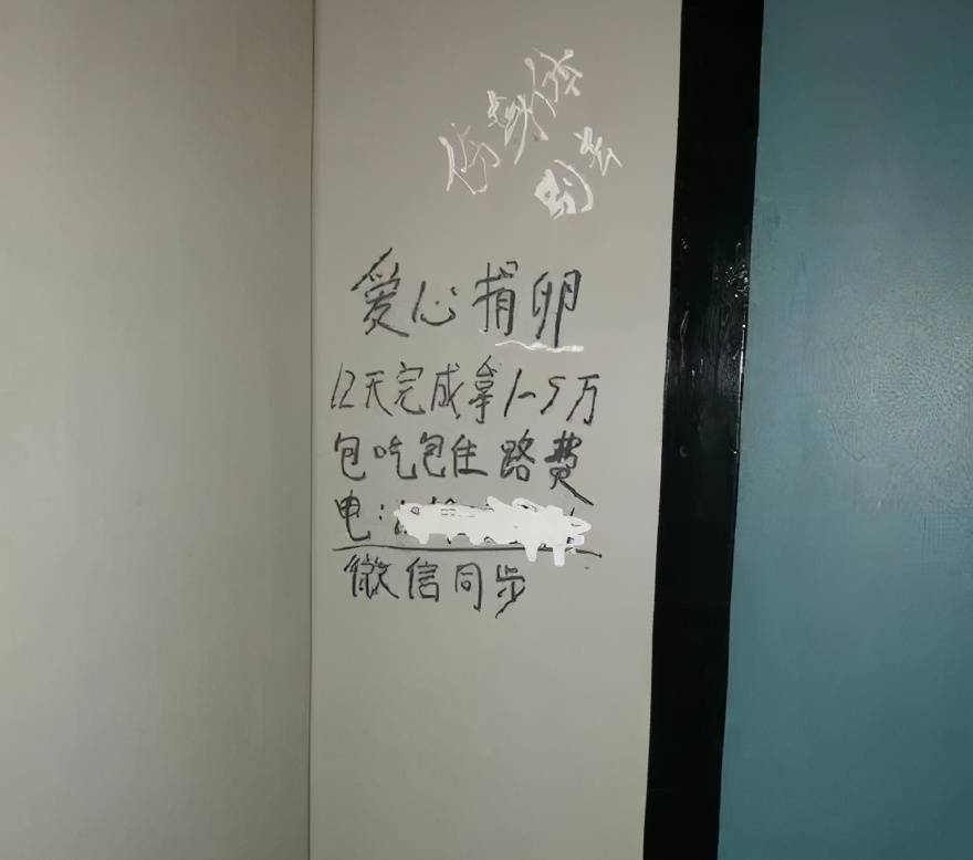 大学女厕所,捐卵,10~15天,3万起步._手机搜狐网