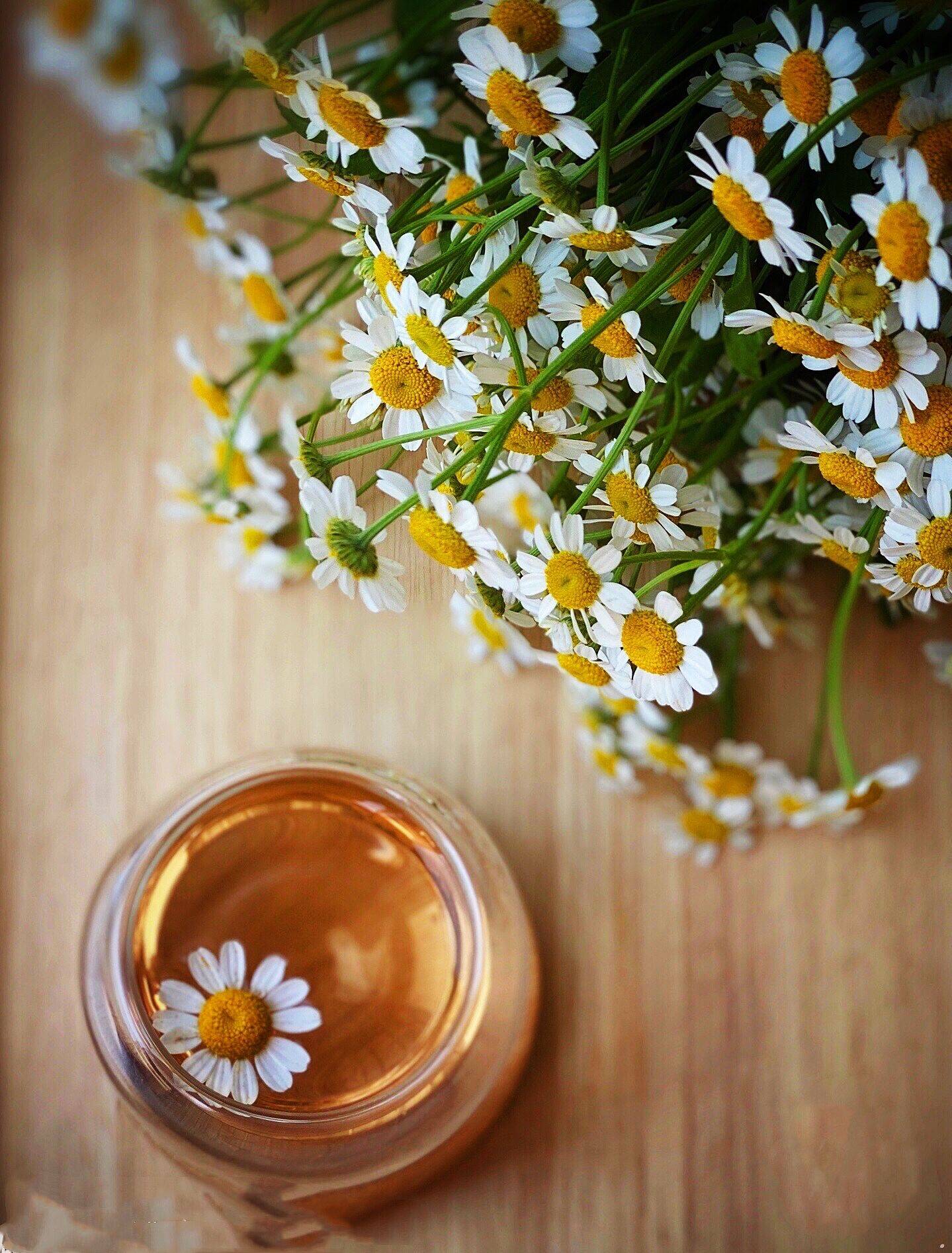 煮一壶秋色伴清心共饮