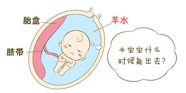 你的这些坏习惯,会让羊水质量变差_胎儿