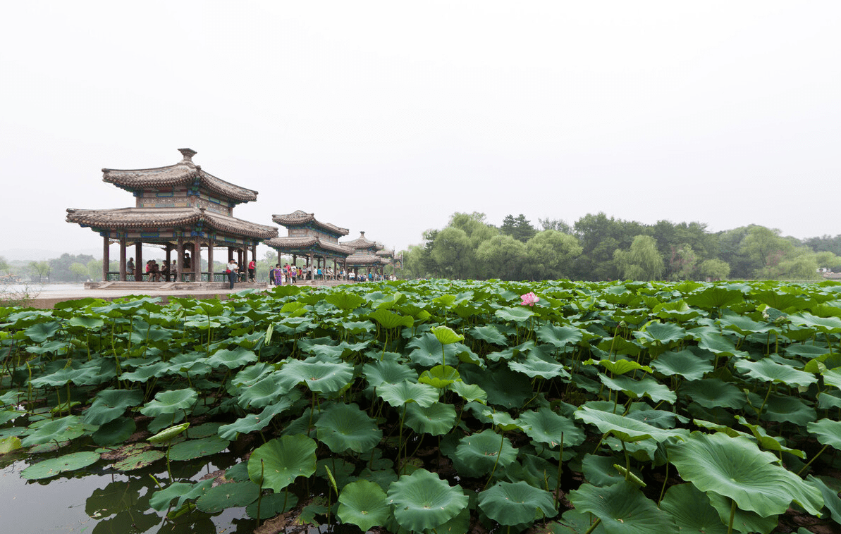中国|承德避暑山庄