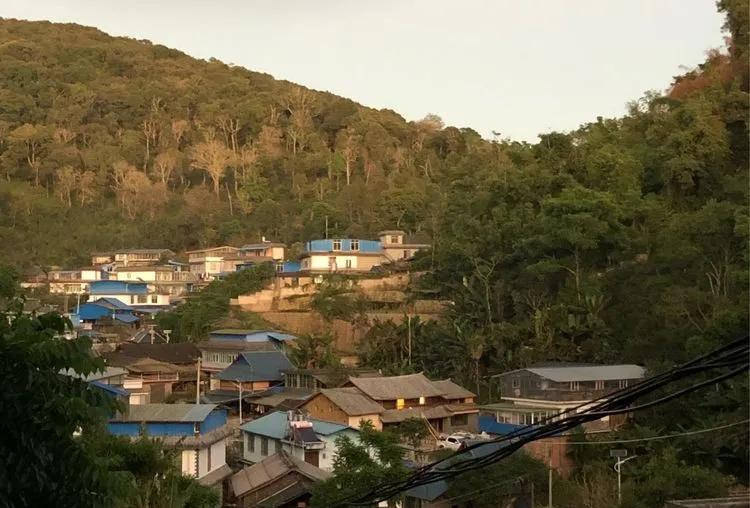 干货分享山一程水一程心向易武行