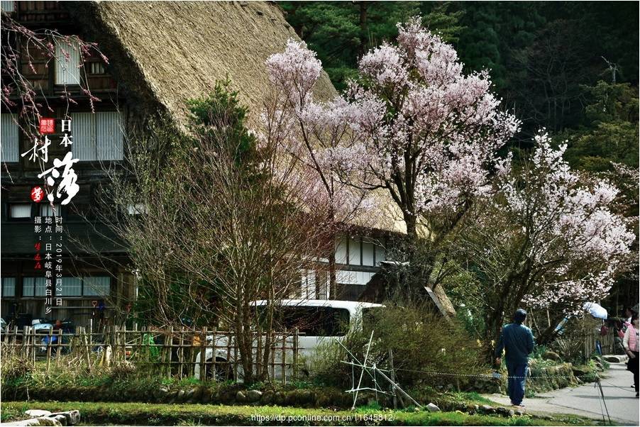 日本的村落梦还在搜狐大视野搜狐新闻